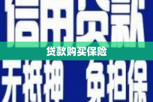 民勤贷款购买保险