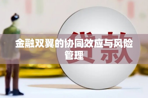 民勤金融双翼的协同效应与风险管理