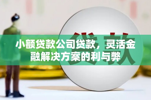 民勤小额贷款公司贷款，灵活金融解决方案的利与弊